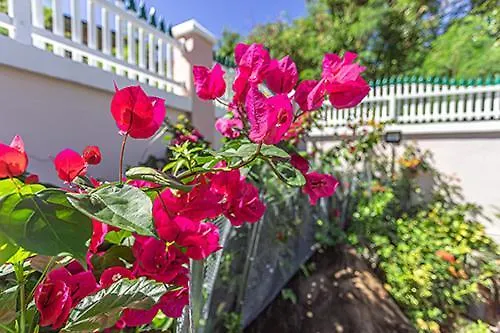 Villa Dalhia Pointe-Noire 0*,  Guadeloupe